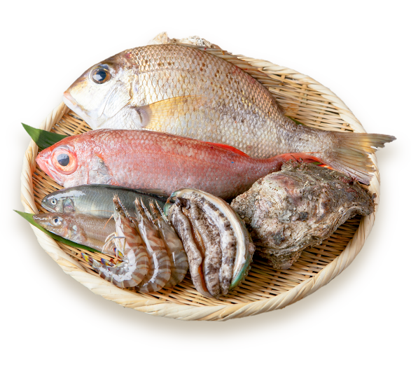 魚